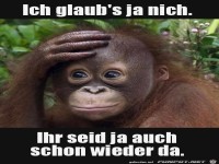 Ihr seid ja auch schon wieder da