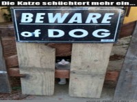 Katze ist gef�hrlicher als der Hund