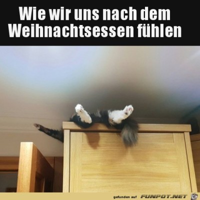 Nach-dem-Weihnachtsessen.jpg von Lasse
