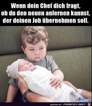 Die-Begeisterung-ist-riesig.jpg auf www.funpot.net