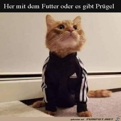 Futter-her.jpg von Brenda
