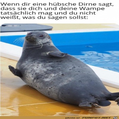 Verwirrter-Blick.jpg von Malou