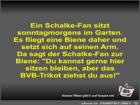 Ein Schalke-Fan sitzt sonntagmorgens im Garten