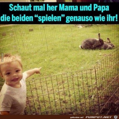 Guckt-mal-dahin.jpg von Steven