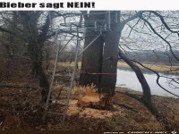 Biber sagt nein