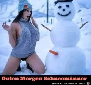 Da-freut-sich-der-Schneemann.jpg auf www.funpot.net
