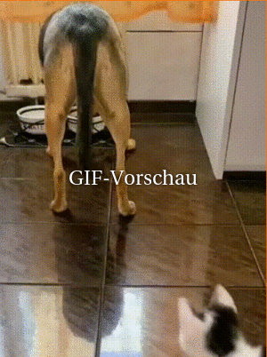 lustiger Spruch 'Muskelkater'