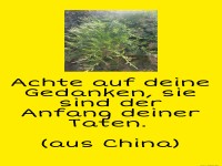 Achte auf deine Gedanken..