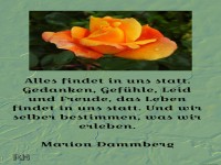 alles findet in uns statt