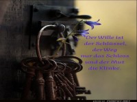 Der Wille ist der Schl�ssel