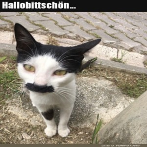 Begrüßungsbild