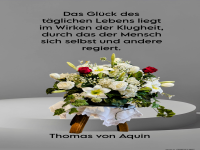 das glck des tglichen lebens