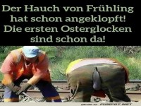 Der Hauch von Fr�hling hat angeklopft
