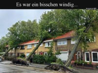 Wenn B�ume sich in H�user verlieben!