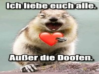 Eichh�rnchens ehrliches Liebesgest�ndnis!