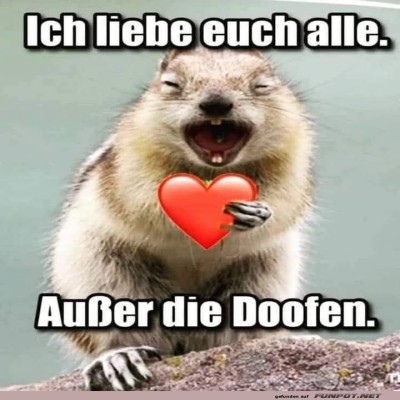 Eichhörnchens-ehrliches-Liebesgeständnis!.jpg von Jannik-22