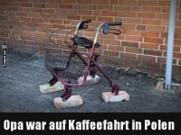 Neuster Trend: Der Backstein-Roller