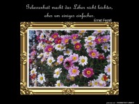 Gelassenheit macht das Leben