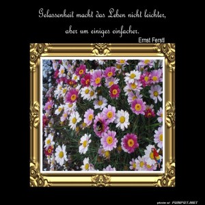 Gelassenheit-macht-das-Leben.jpg von Sirene