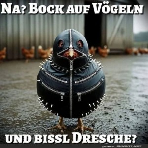 Punk-Rock-Huhn-im-Leder-Mantel.jpg von Josefin