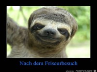 Neue Frisur