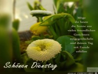 Mge Dir heute die Sonne entgegen lcheln