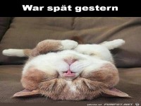 War sp�t