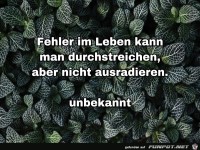Fehler im Leben