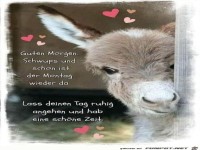 Guten Morgen und Schwups der Montag ist wieder da