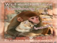 Weil eine Umarmung alles Ist