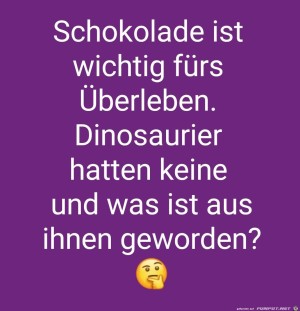 Schokolade.jpg auf www.funpot.net