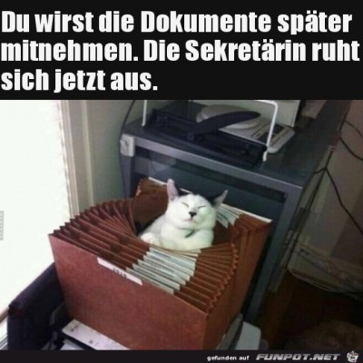Jetzt-ist-Pause.jpg von Ava