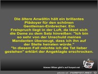 Die ltere Anwltin hlt ein brillantes Pldoyer fr den...