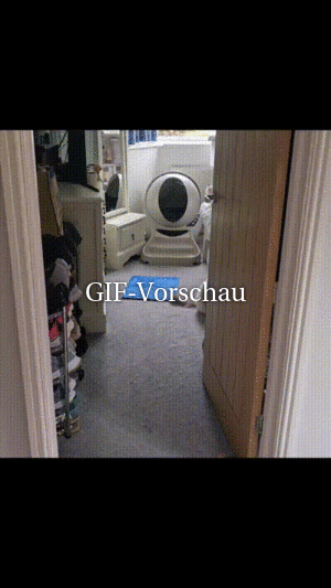 Witziges Video PAUL PANZER - Security - FUNPOT