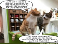 Katzengespr�ch