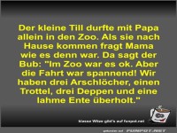 Der kleine Till durfte mit Papa allein in den Zoo