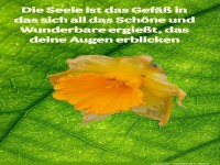 die seele ist das GEf��