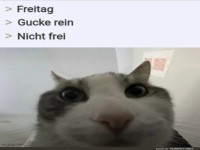 Wenn Freitag doch kein Wochenende hei�t