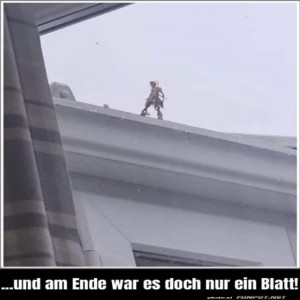 Kleiner-Strolch-auf-gro�er-Mission.jpg von Leif