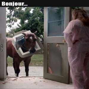 Wenn-der-Nachbar-unerwartet-vorbeischaut.jpg von Queen92