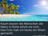 Super Foto vom Rhein