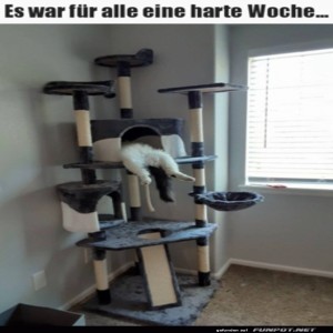 Eine-harte-Woche-gehabt.jpg von Justus2002