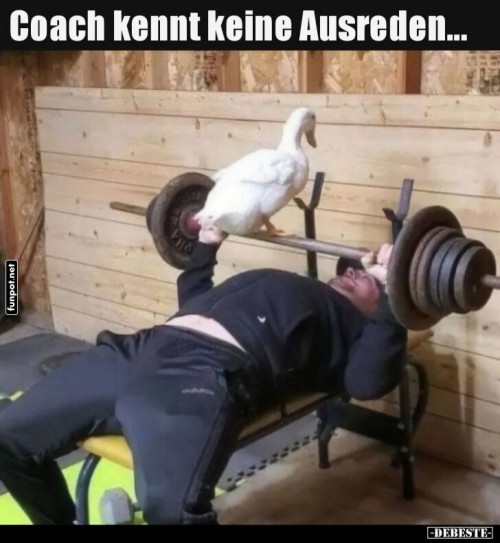 Enten-Coach-drückt-dich-zur-Höchstleistung.jpg auf www.funpot.net