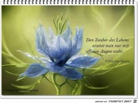 Den Zauber des Lebens