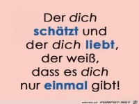 der dich sch�tzt und der dich liebt........