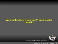 Was heit denn Hund auf Franzsisch?
