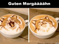 Guten Morg���hn