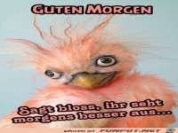 Guten Morgen