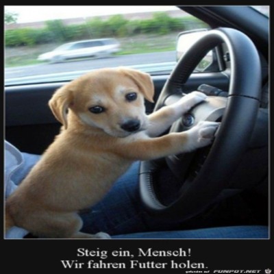 Die-Fahrt-geht-gleich-los.jpg von DunklesBrot