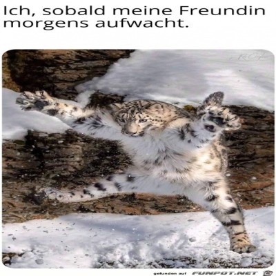 Ich-morgens.jpg von Matteo